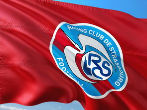 开云体育登录-帕尔梅拉斯球员积极备战，誓夺更好名次