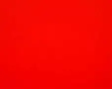 开云体育登录-红地毯之上王者之师，夺得胜利归来