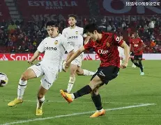 华尔赛尔主场战平诺里奇，争取保级之路