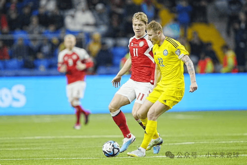 开云体育入口-丹麦队在欧锦赛上击败对手，晋级八强