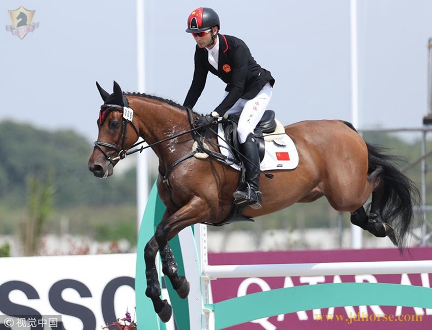 开云体育app-关于南美马术选手奋力拼搏，取得奖牌的信息