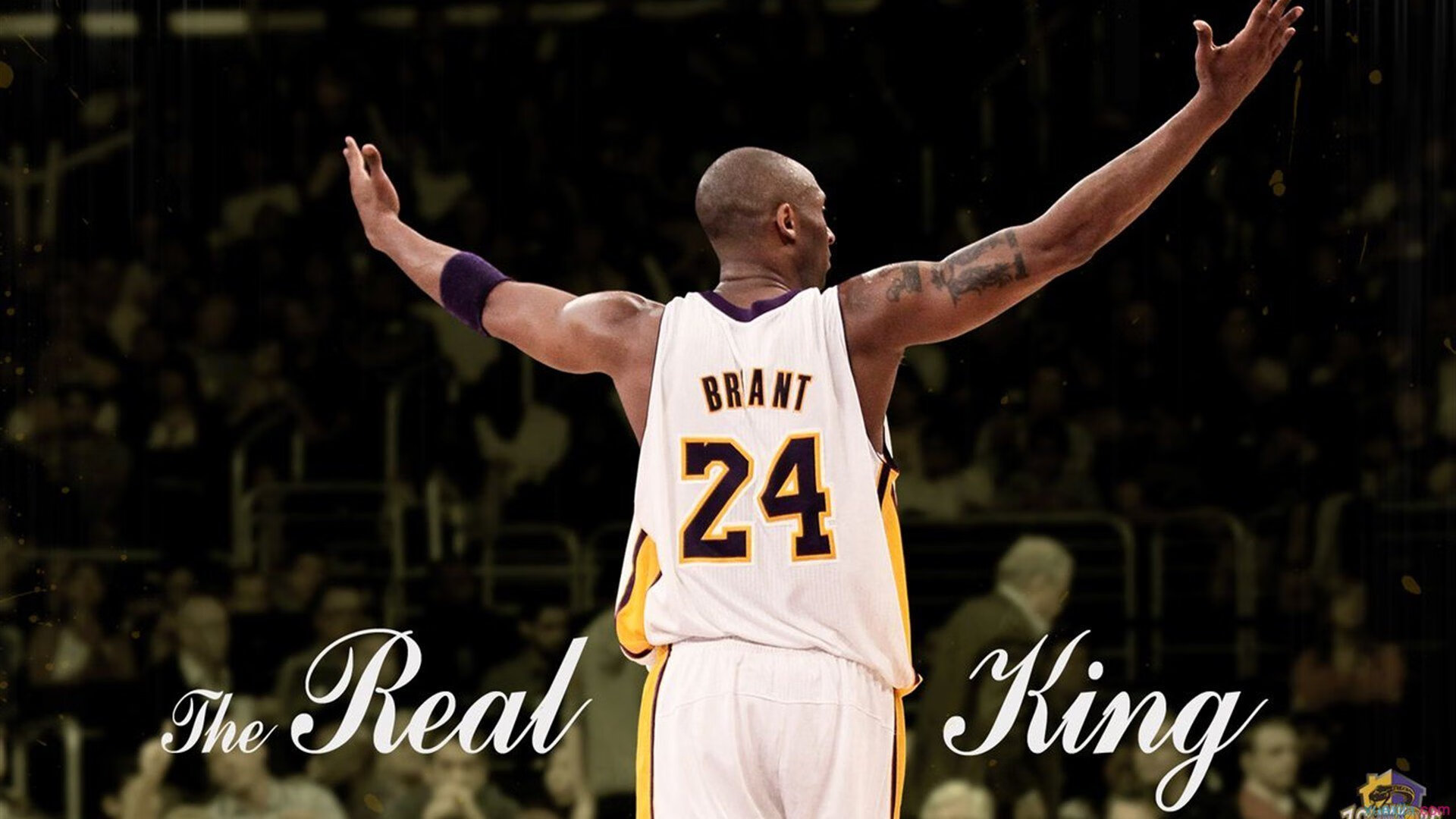 开云官网-冠军试金石前，他亮出獠牙，拉文用开拓者之血染红大舞台